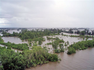 Flooded fields