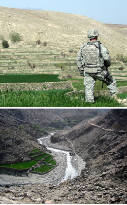 Afganistan Farming