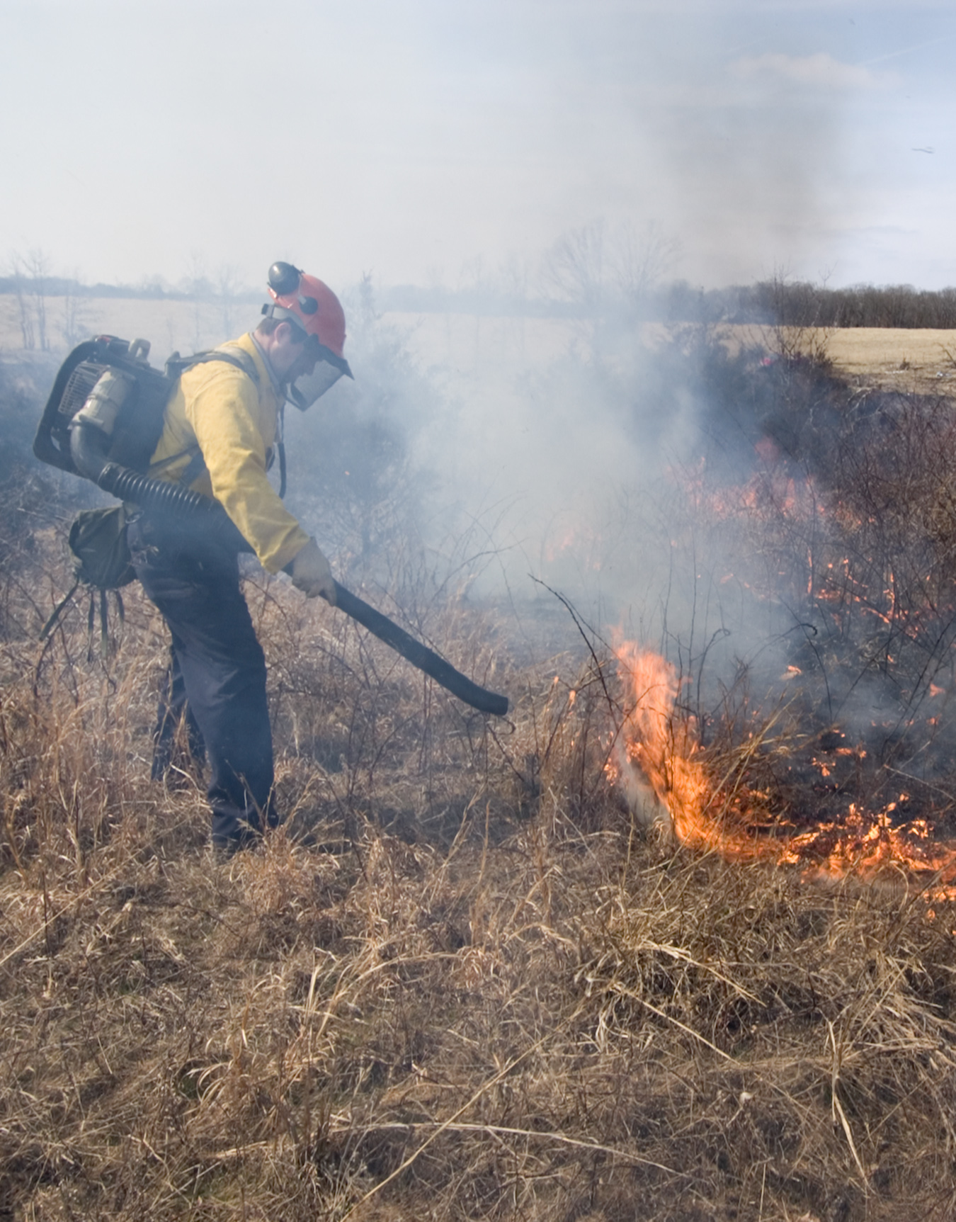 Missouri wildfire