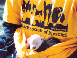 Humane Society of Missouri