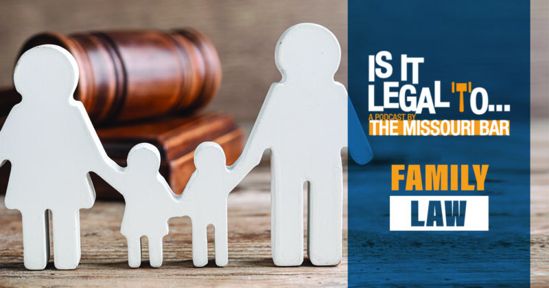 What Is Family Law In Missouri A Q A With Top Attorney Dianne Howard Of Cape Girardeau