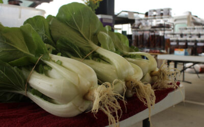 Columbia Farmers Market spring season kicks off with local produce live music and family fun (LISTEN)