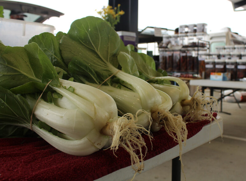 Columbia Farmers Market spring season kicks off with local produce live music and family fun (LISTEN)