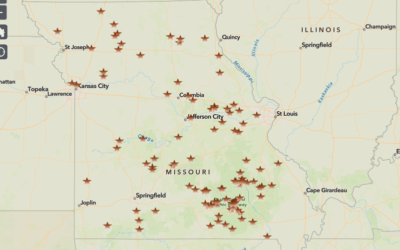 Fact or Fiction: Missouri Department of Conservation shares the truth about mountain lion sightings (LISTEN)