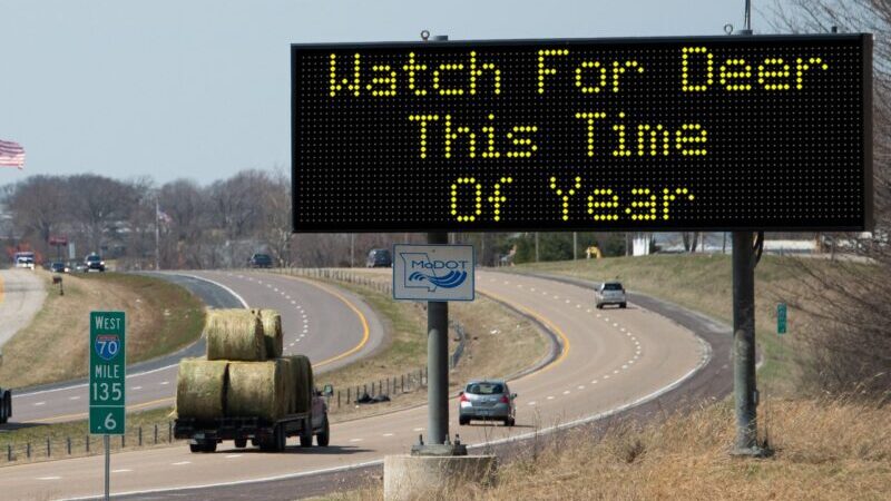 What non-hunters need to know during Missouri's hunting seasons