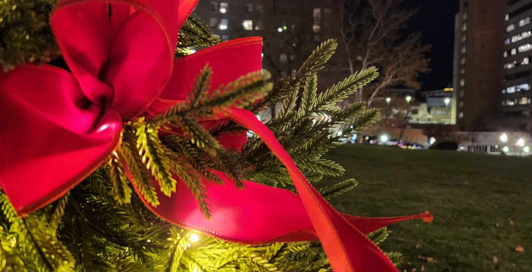 U.S. Capitol Christmas Tree to Stop in Missouri: A 53-Foot Symbol of Holiday Spirit