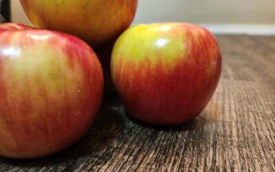 Missouri summer meal program for kids underway