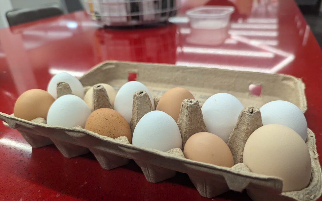 Trump cuts this year lead to Missouri losing out on 1.6 million pounds of federal food aid