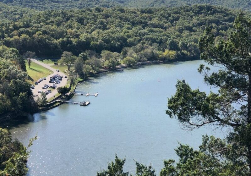 Missouri Wildlife Officials: Invasive Worms Can Jump Up To 12 Inches (LISTEN)