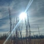 Sun and heat (Photo by Missourinet)