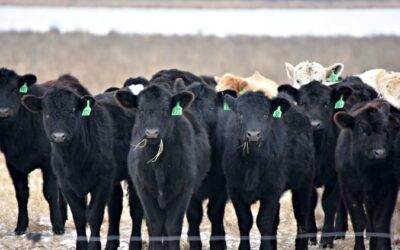 Missouri Bill Aims to Plant Agriculture Lessons in Classrooms