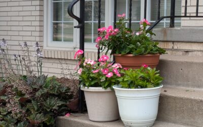 Missouri home sales up seven percent over 2024 (LISTEN)