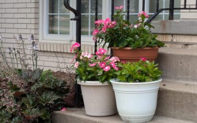 Missouri home sales up seven percent over 2024 (LISTEN)