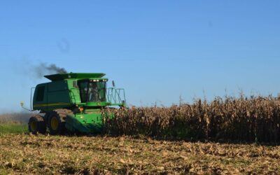 It is so hot in Missouri even the corn sweats