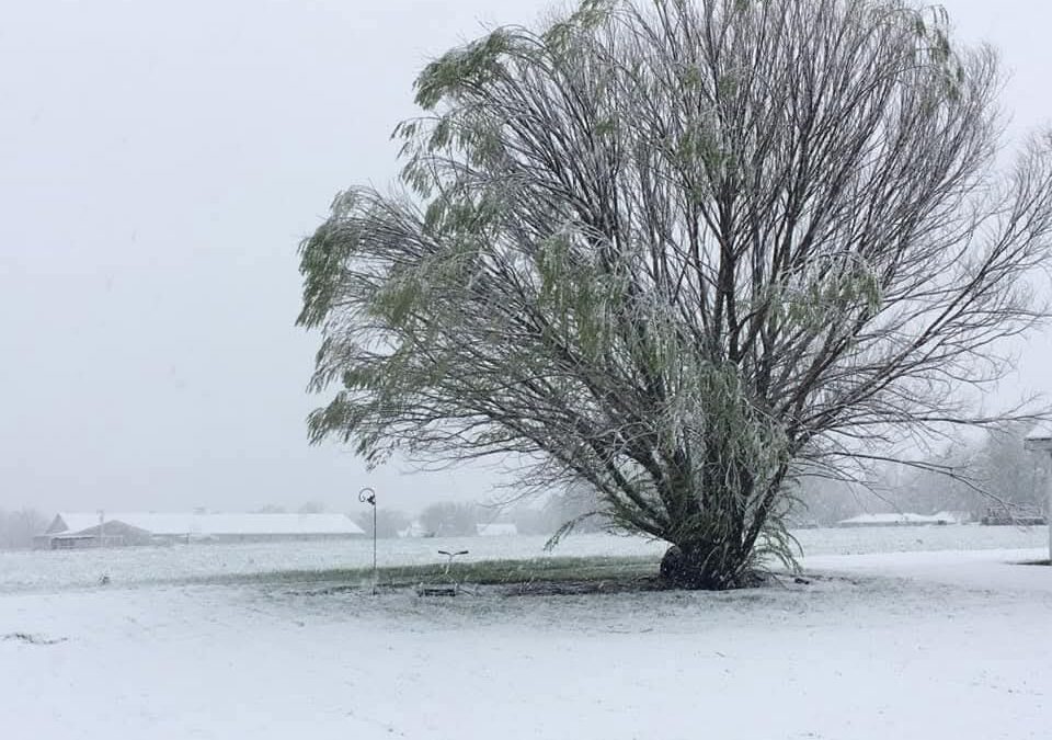 Winter (Photo by Missourinet)