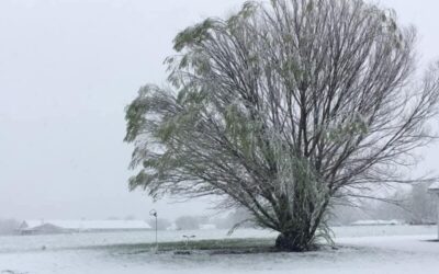 Missouri’s cold weather rule in effect for investor-owned utilities