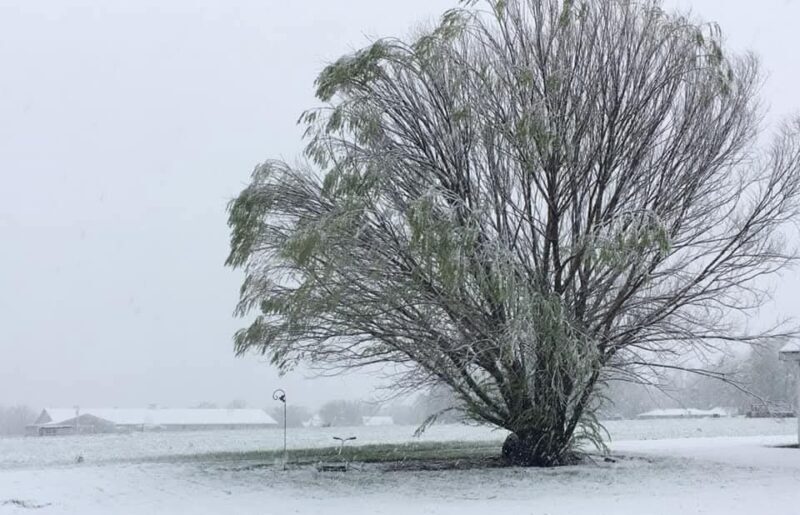 Slow-developing La Nina could delay winter weather’s arrival in Missouri (LISTEN)