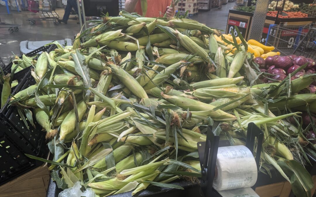 Missouri farmers would get relief payment under Sen. Josh Hawley’s bill