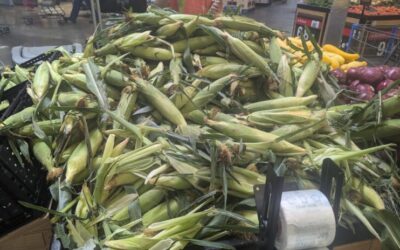 Missouri farmers would get relief payment under Sen. Josh Hawley’s bill