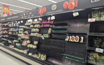 Missouri Grocers Say: Cash In Your Pennies, Make a Friend