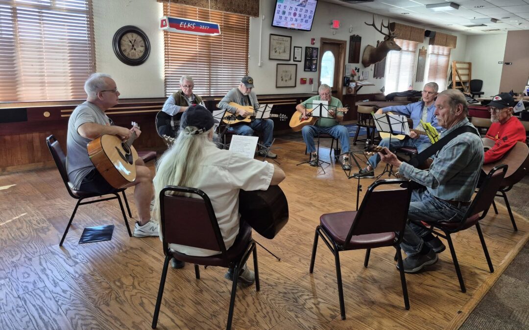 Guitar lessons strike chord with Missouri veterans