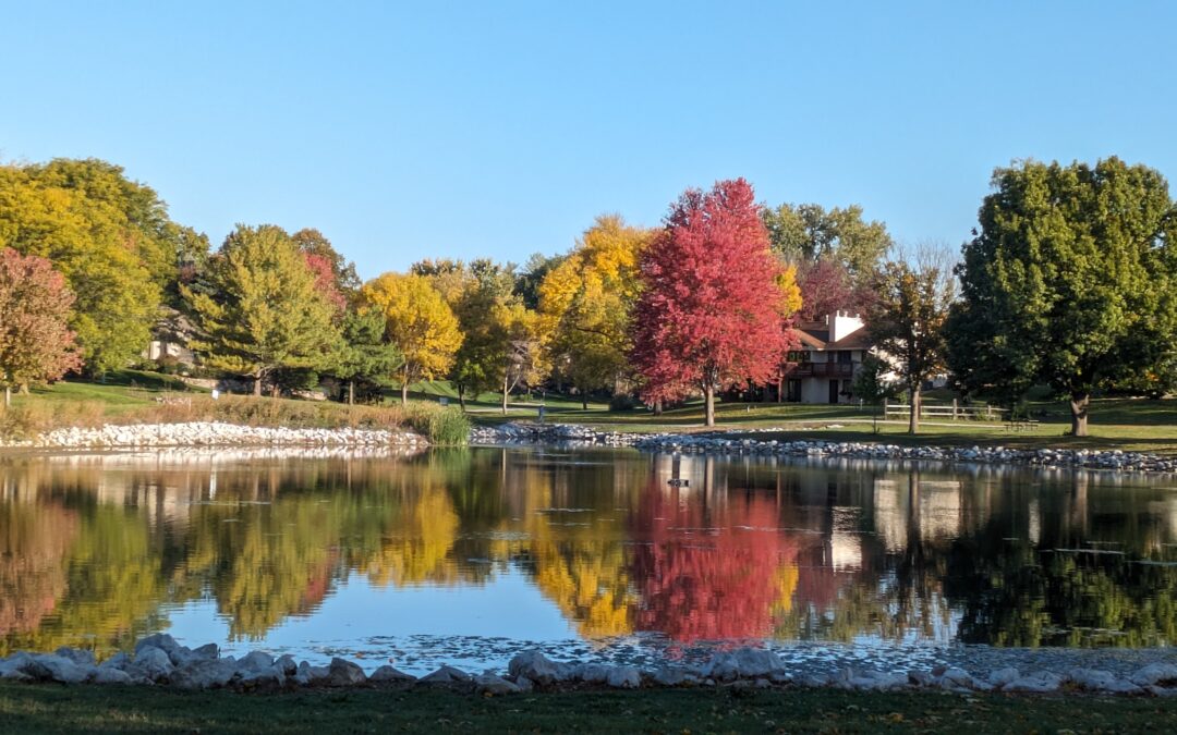 Missouri Fall Color Guide Tracks Where to Find Peak Autumn Leaves (LISTEN)
