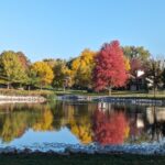 Fall colors