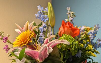 Just In Time For Valentine’s Day M-U Offers Romance Tips