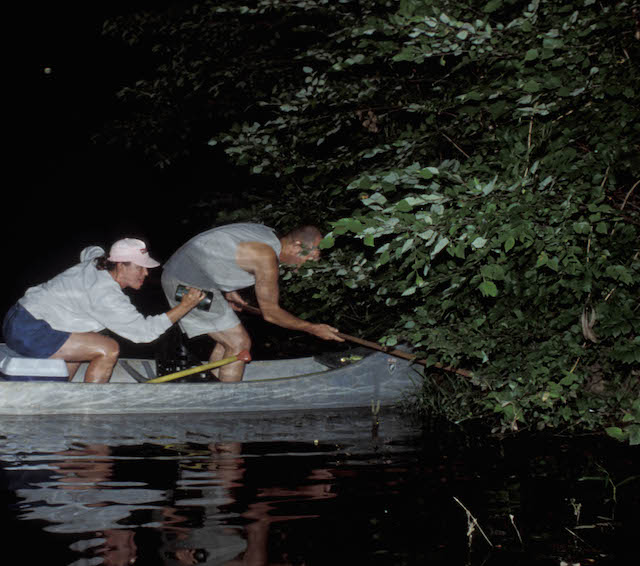 Missouri Frog Gigging Keeps an Ozarks Tradition Alive (LISTEN)