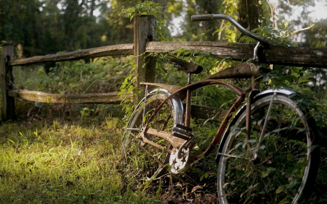 New Missouri documentary explores how trails drive tourism and economic growth (LISTEN)