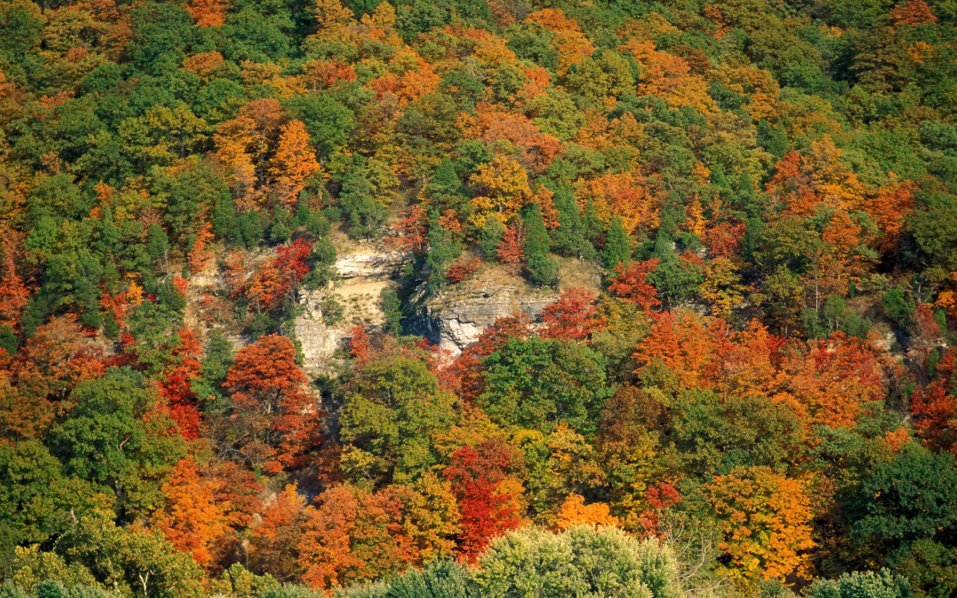 Where to Find Missouri’s Best Fall Colors Right Now (LISTEN)